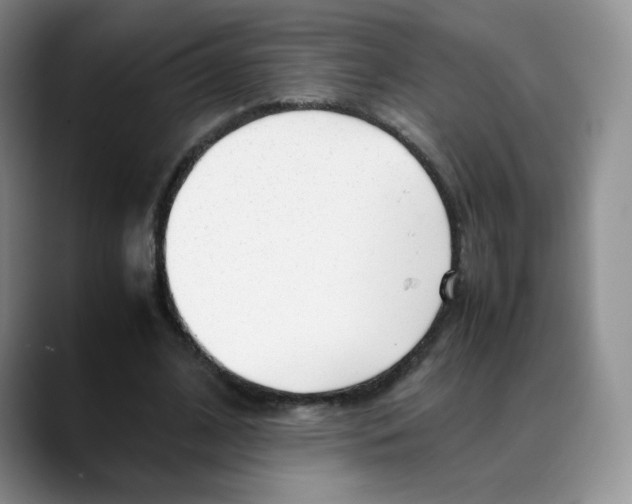 X0000088050584200706081631