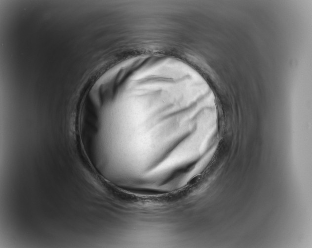 X0000088050585200706081631
