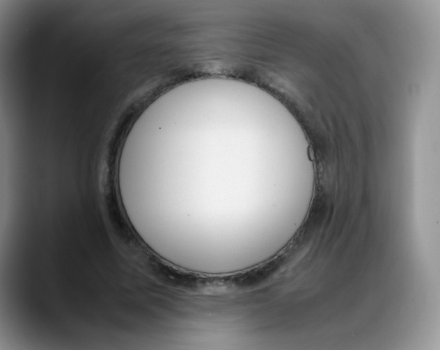 X0000088050587200706081631