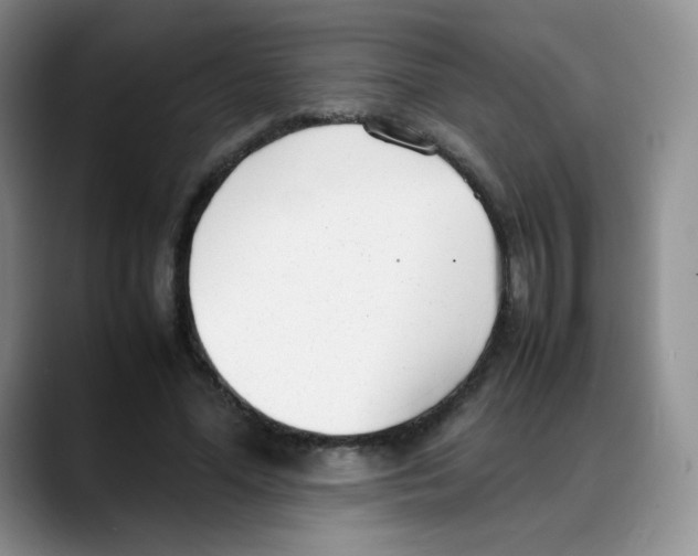 X0000088050588200706081631