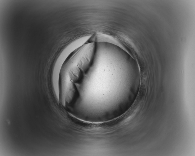 X0000088050589200706081631