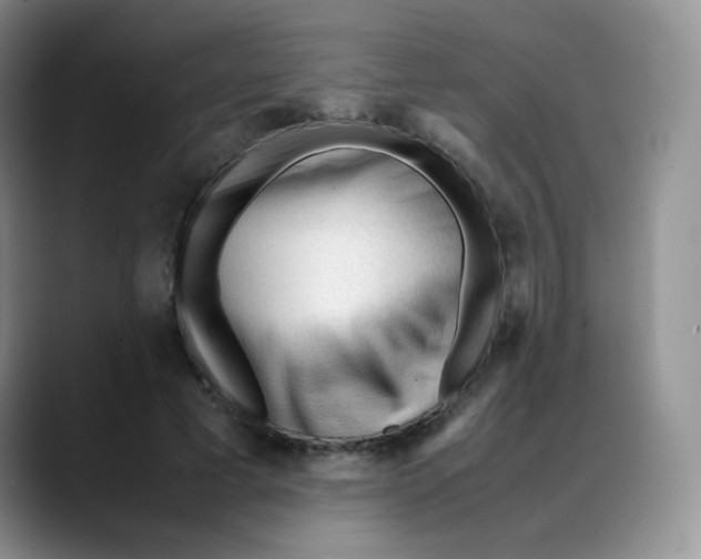 X0000088050593200706081631