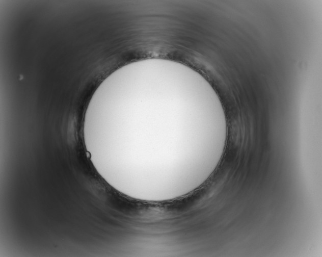 X0000088050594200706081631