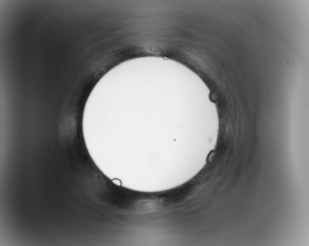 X0000088050595200706081631