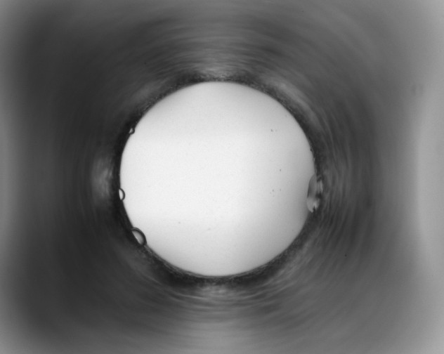 X0000088050596200706081631