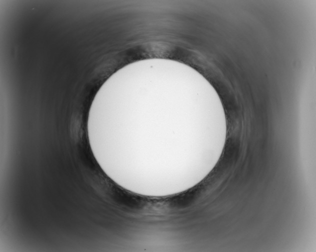X0000088050599200706081631