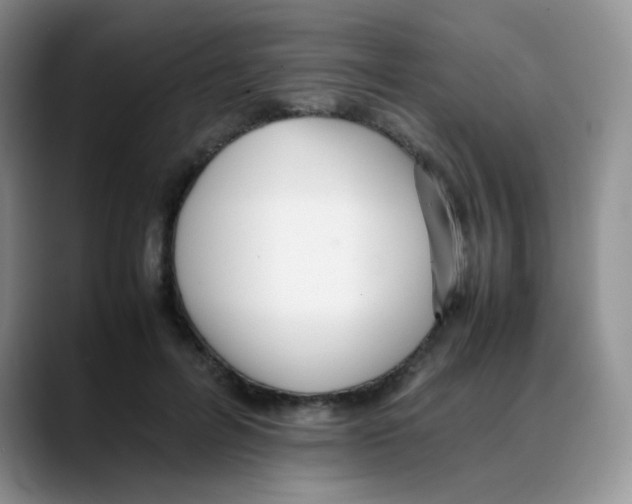 X0000088050600200706081631