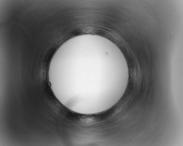 X0000088050602200706081631