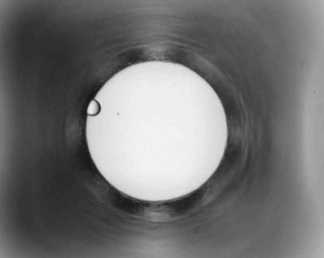 X0000088050603200706081631