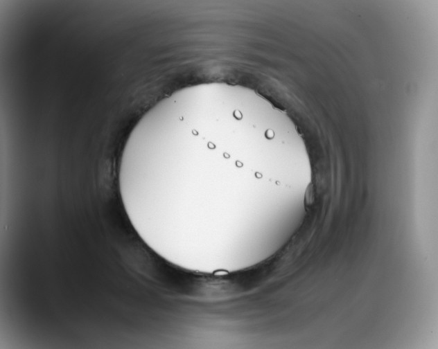 X0000088050605200706081631