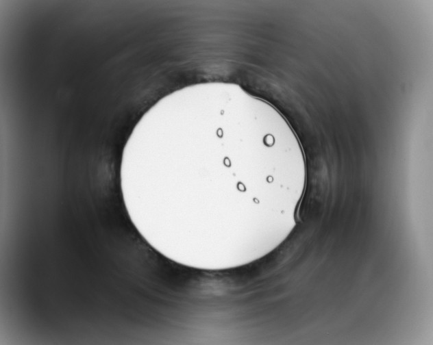 X0000088050608200706081631