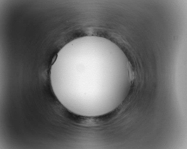 X0000088050611200706081631