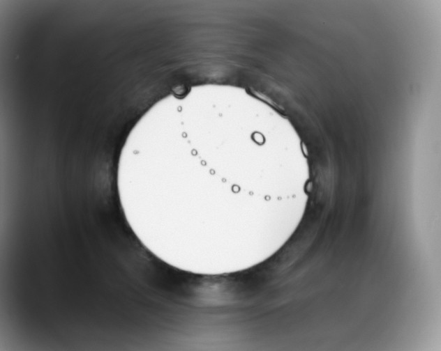 X0000088050612200706081631