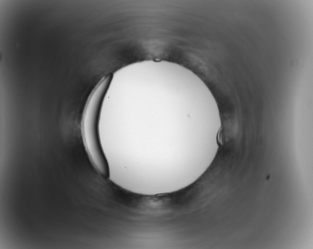 X0000088050613200706081631