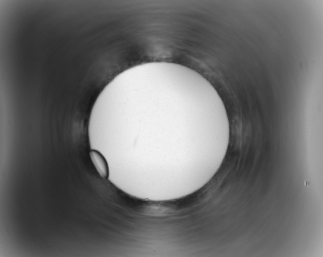 X0000088050614200706081631