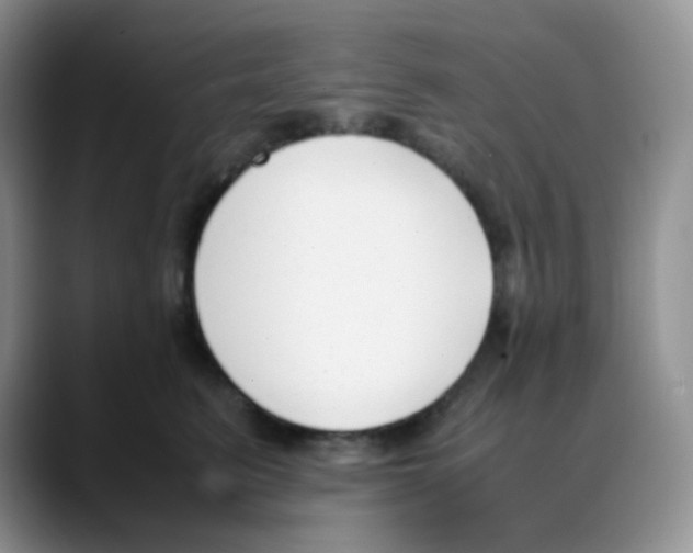 X0000088050615200706081631
