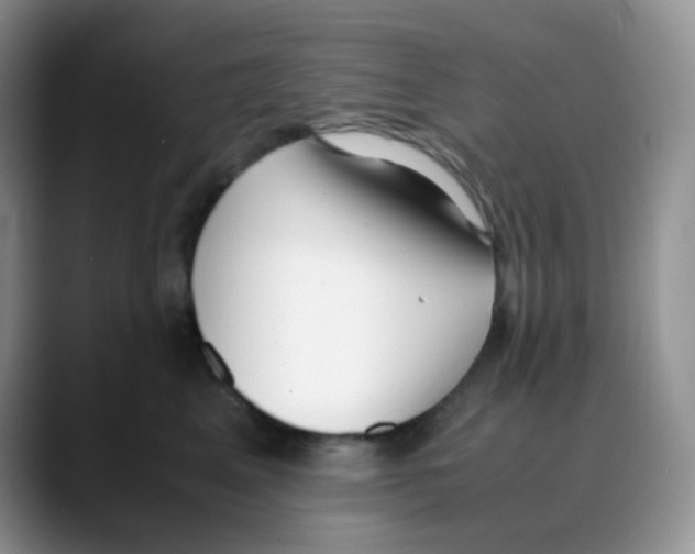 X0000088050617200706081631