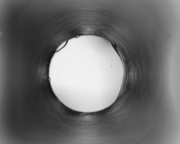 X0000088050620200706081630