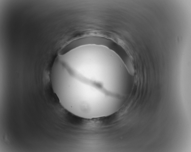 X0000088050621200706081630