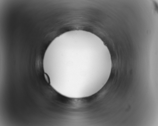 X0000088050623200706081630