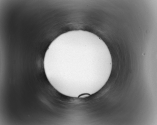 X0000088050624200706081630