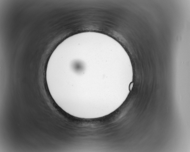 X0000088050625200706081630