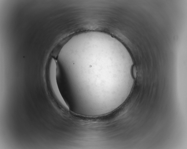 X0000088050626200706081630