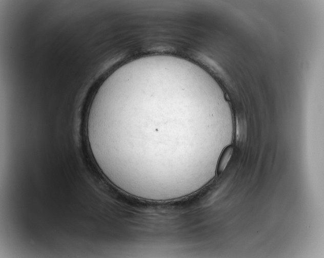 X0000088050627200706081630