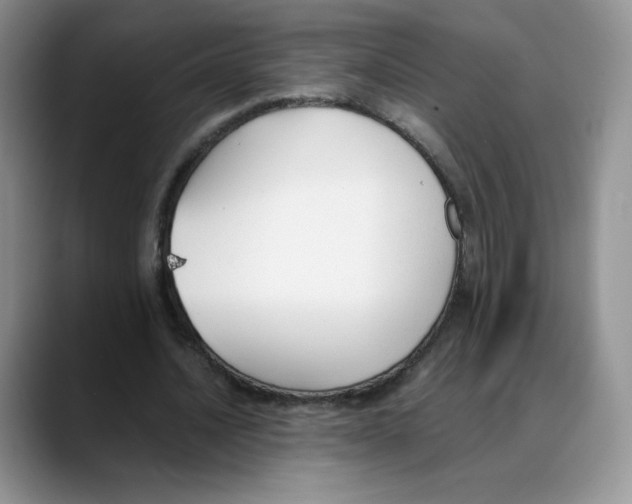 X0000088050628200706081630