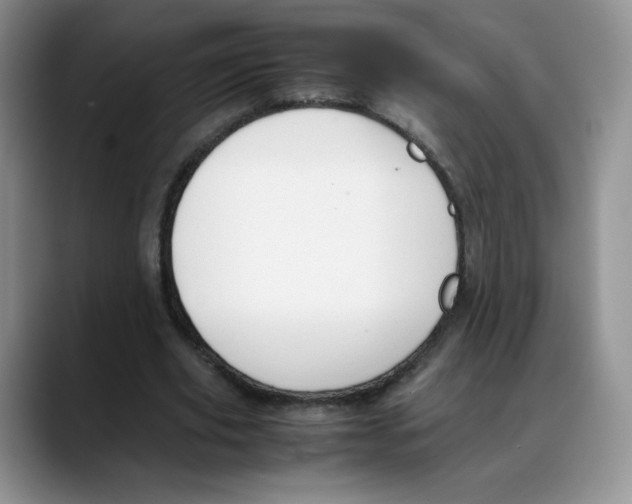X0000088050629200706081630