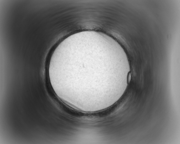 X0000088050630200706081630