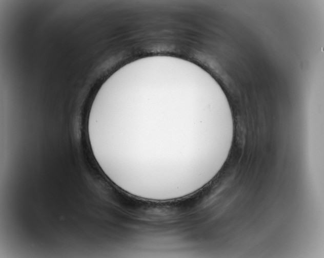 X0000088050631200706081630