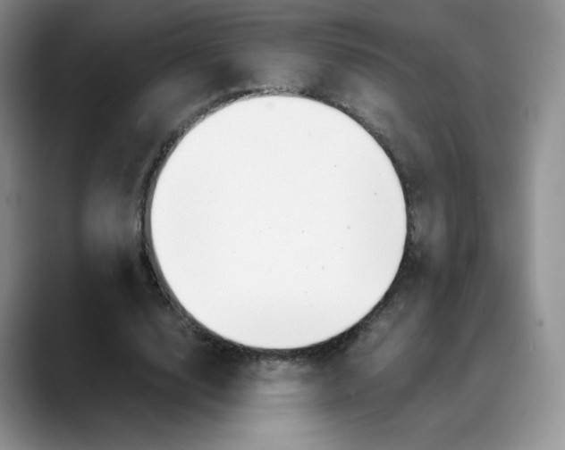 X0000088050632200706081630