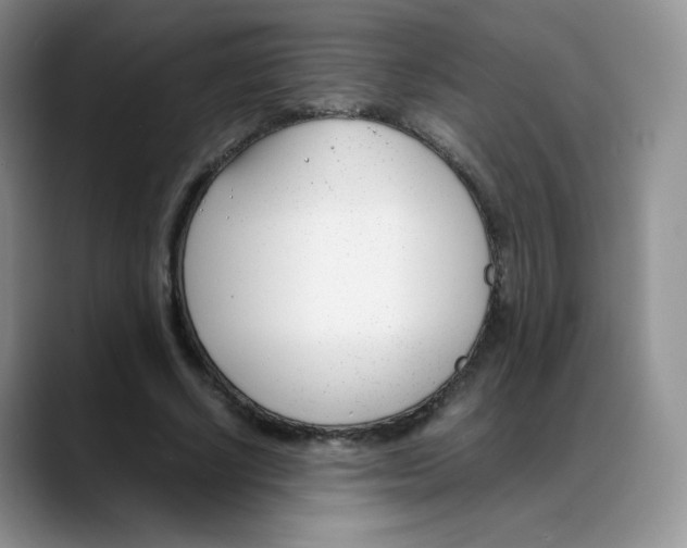 X0000088050634200706081630