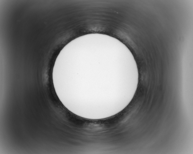 X0000088050635200706081630