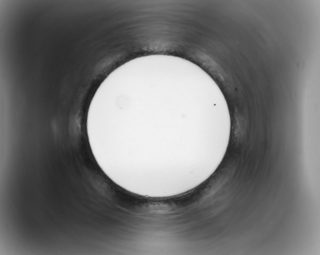 X0000088050636200706081630