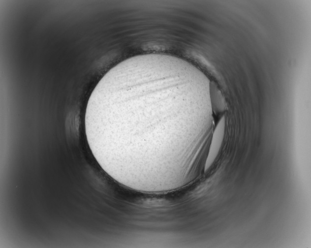 X0000088050637200706081630