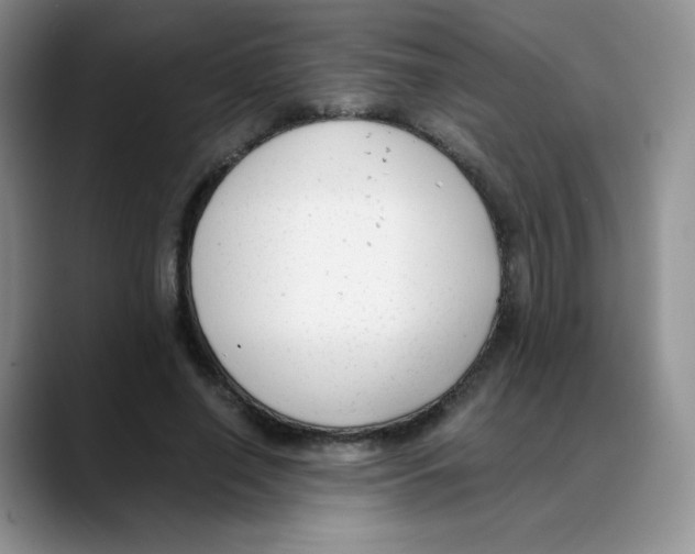X0000088050638200706081630