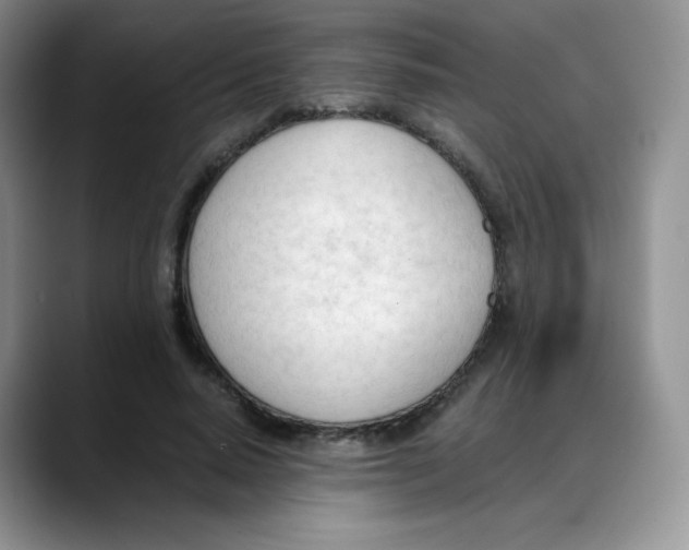 X0000088050640200706081630