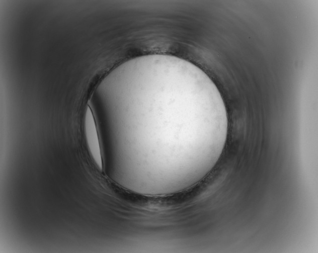 X0000088050641200706081630