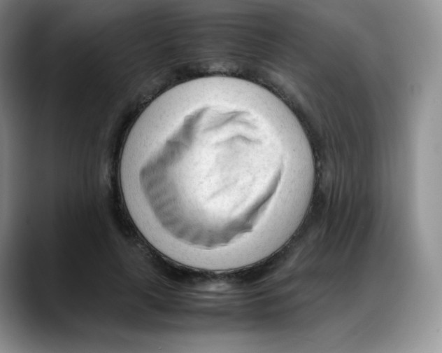 X0000088050643200706081630