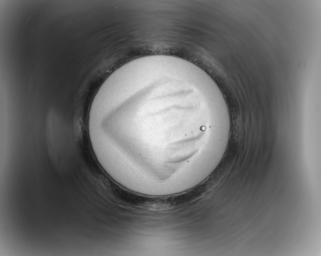 X0000088050644200706081630