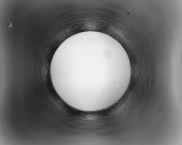 X0000088050645200706081630