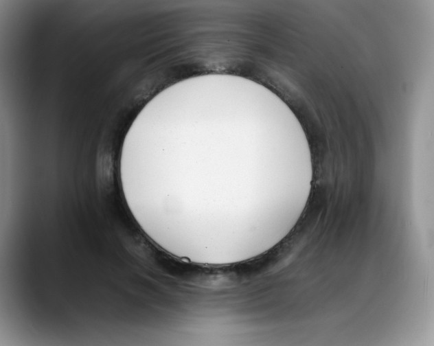 X0000088050646200706081630