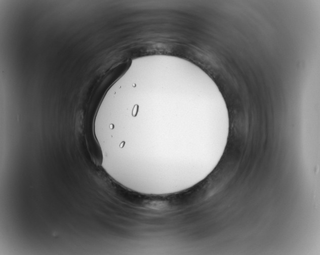 X0000088050649200706081630