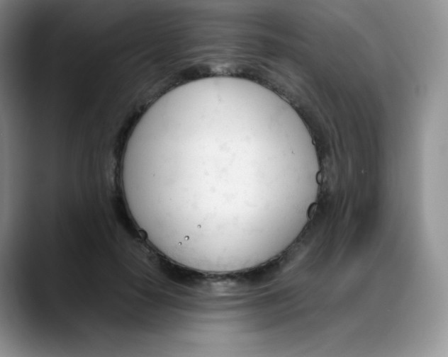 X0000088050650200706081630