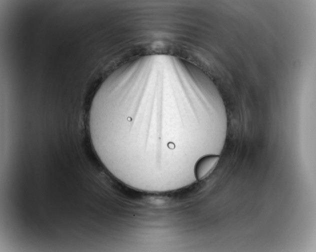 X0000088050654200706081630