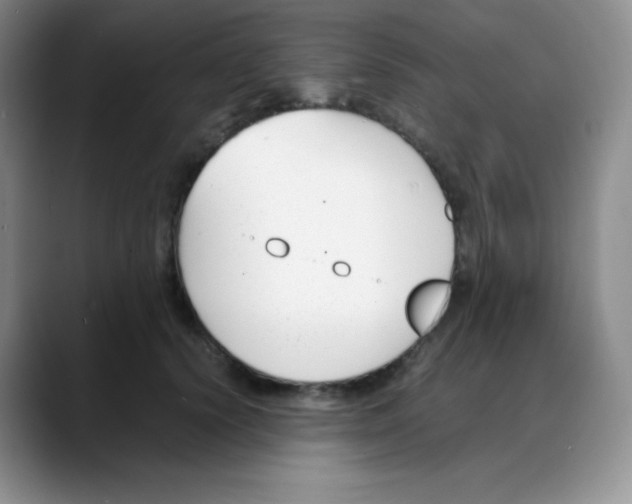 X0000088050656200706081630