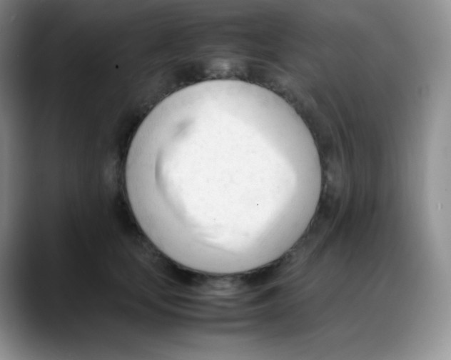 X0000088050659200706081630