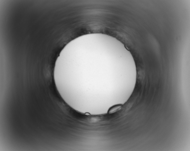 X0000088050662200706081630
